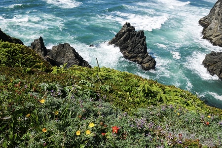 Explorer's Paradise: Gold Beach to Brookings - Travel Oregon