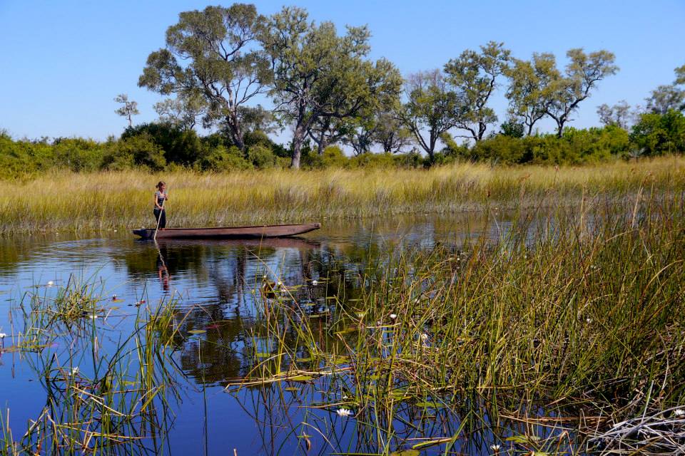 Okavango Delta Mokoro Trip - Erika's Travels