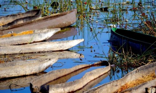 Mokoro Okavango Delta