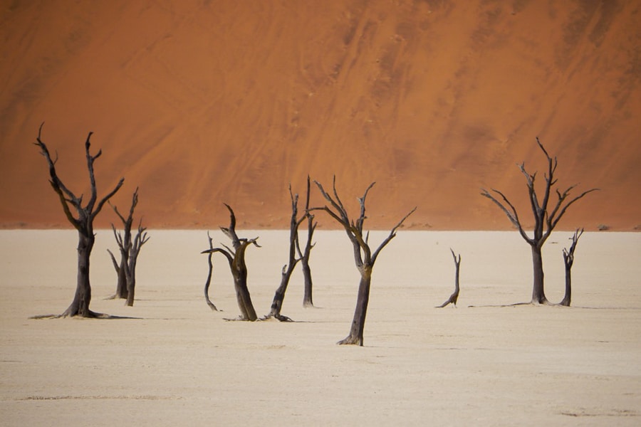 Visiting the Sossusvlei Sand Dunes in Namibia - Erika's Travels