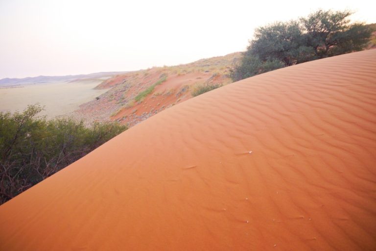 Visiting the Sossusvlei Sand Dunes in Namibia - Erika's Travels