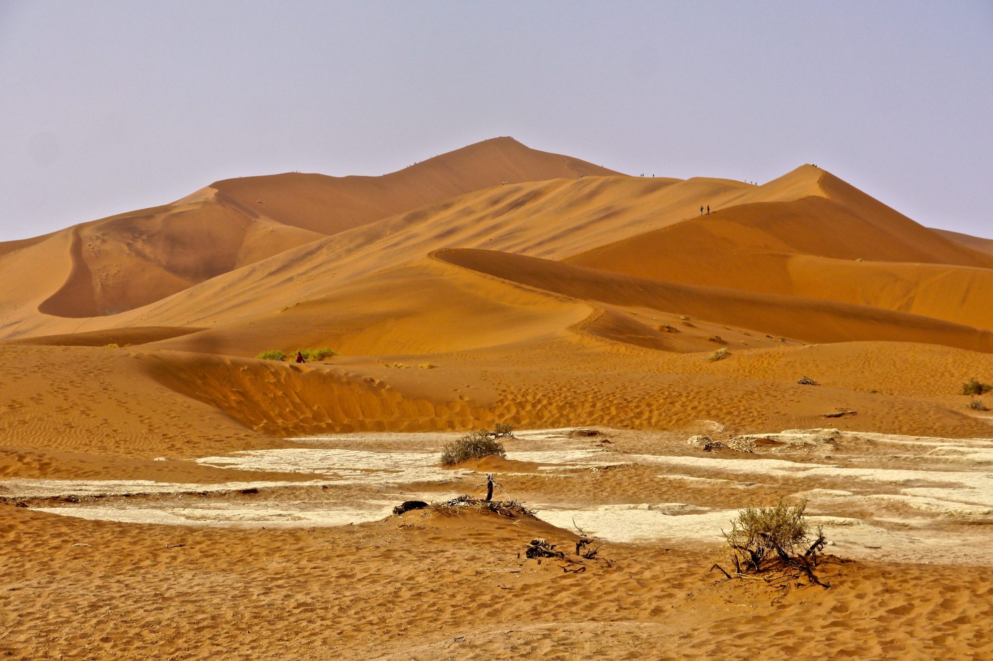 Namibia's Great Sand Sea - Erika's Travels