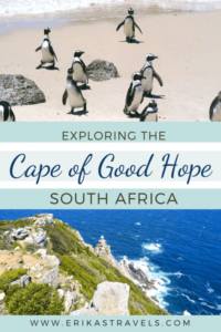 Exploring South Africa's Cape of Good Hope - Erika's Travels