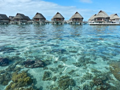 Snorkeling in Moorea French Polynesia: A Budget Traveler's Guide ...