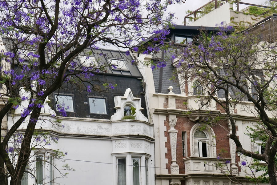 Palermo Neighborhood in Buenos Aires