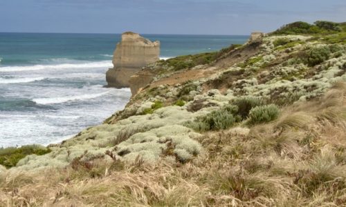 Great Ocean Road Coastline