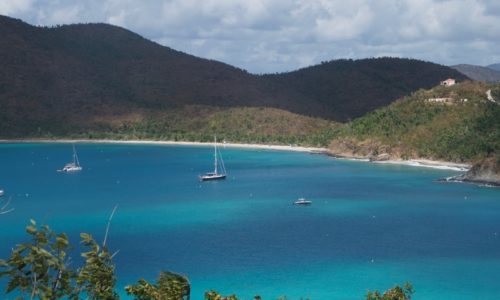 beautiful Bay in St John's