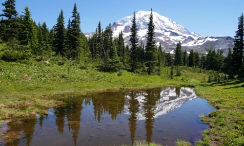 Spray Park Washington