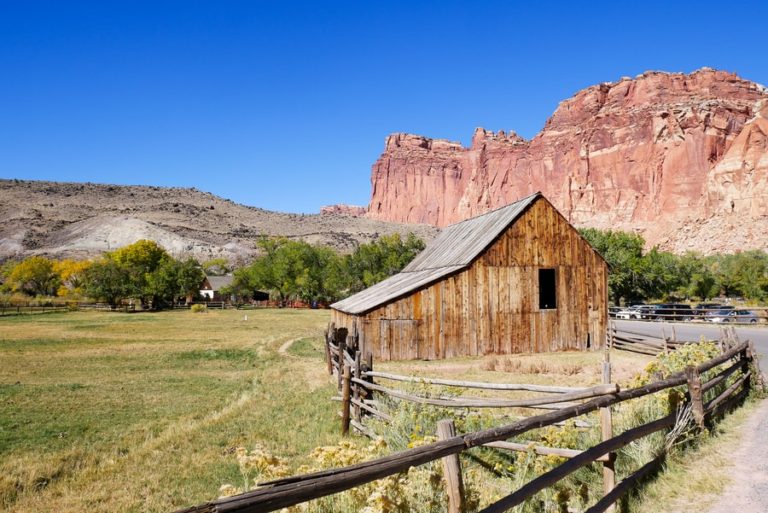 Things to Do in Capitol Reef National Park - Erika's Travels