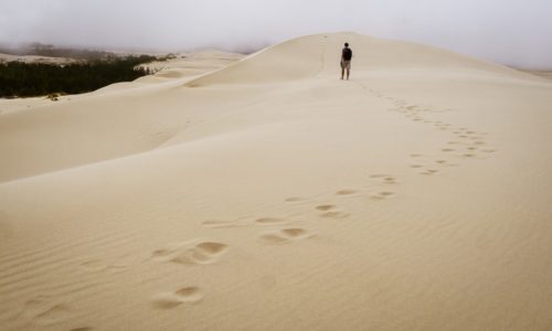 Hiking the Oregon Dunes