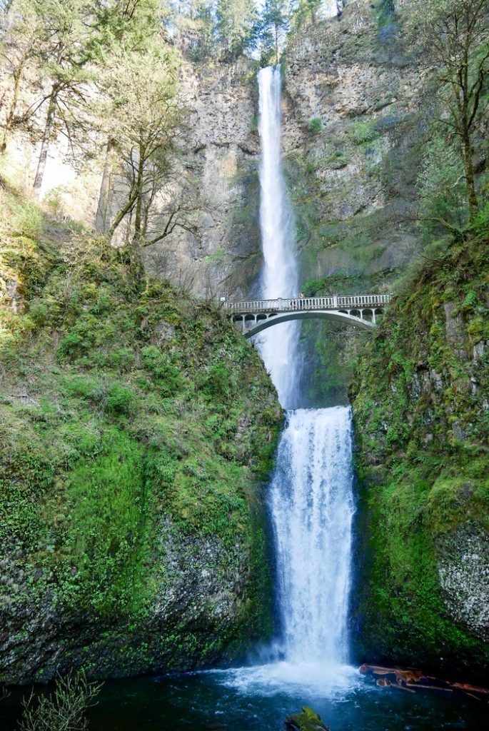 The Best Columbia River Gorge Hikes and Viewpoints - Erika's Travels