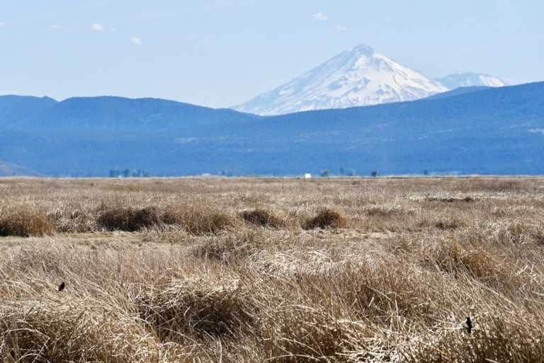 Discovering the Klamath Basin National Wildlife Refuges - Erika's Travels