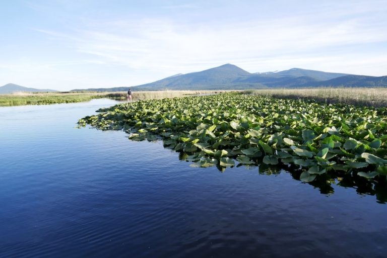 Discovering the Klamath Basin National Wildlife Refuges - Erika's Travels