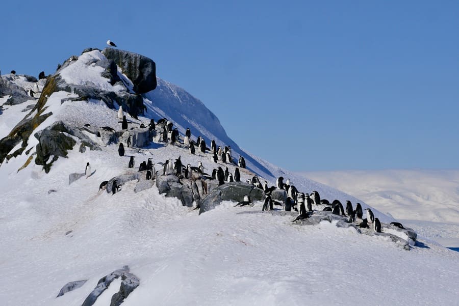 Hydrurga Rocks, Antarctica